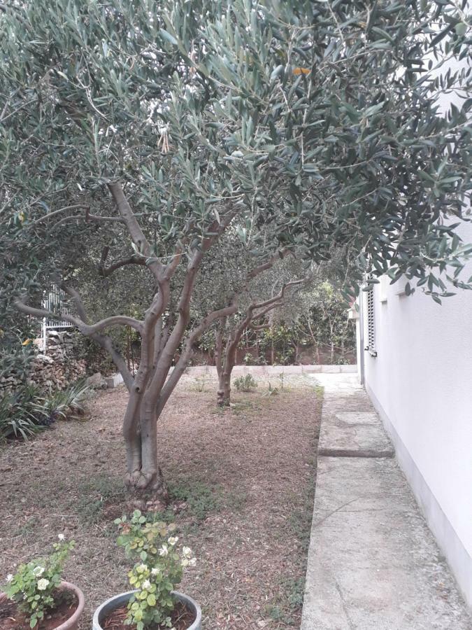 Apartments Boljat Trogir Zewnętrze zdjęcie